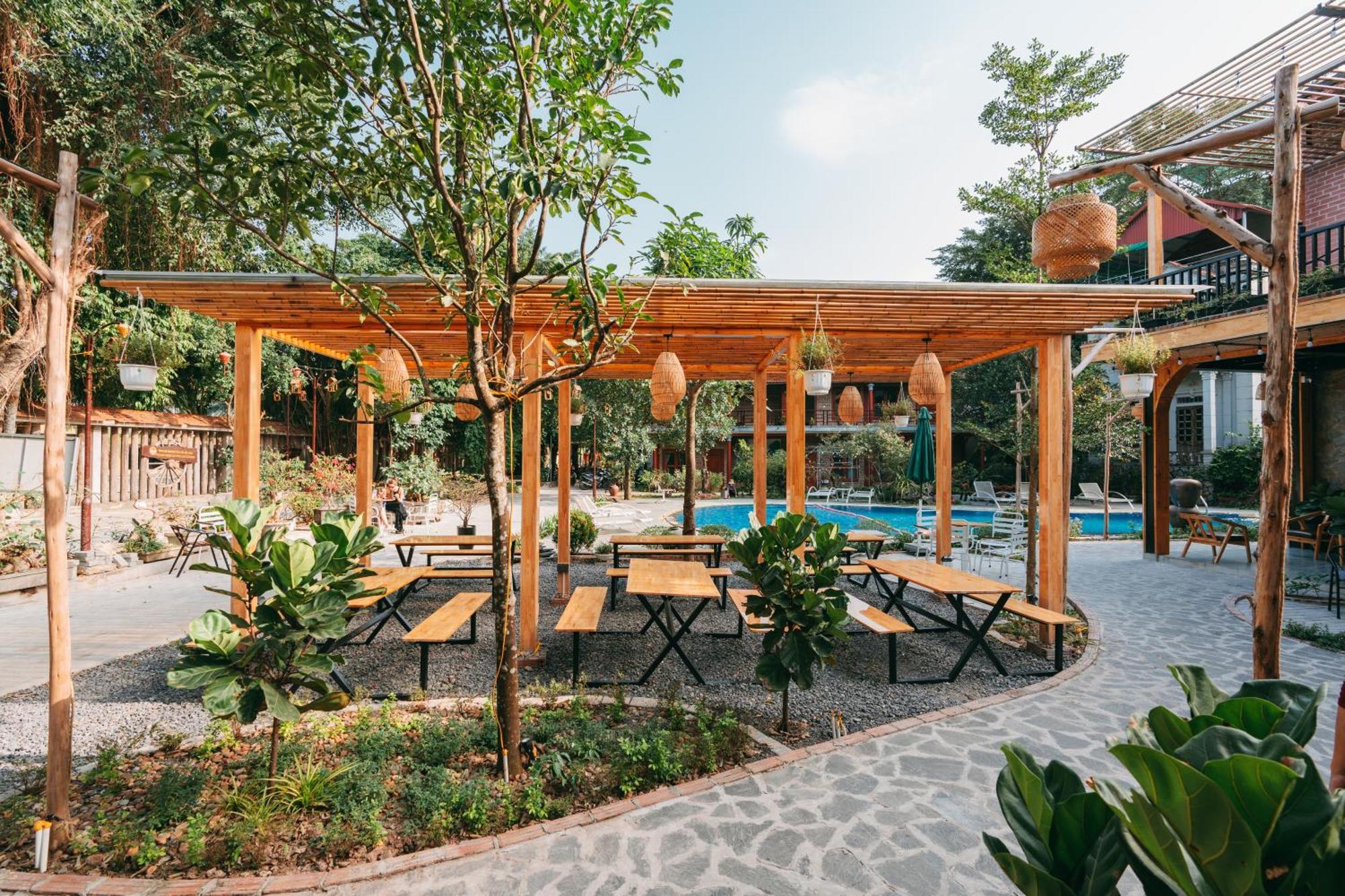 Tam Coc Lavender Homestay Ninh Binh Esterno foto