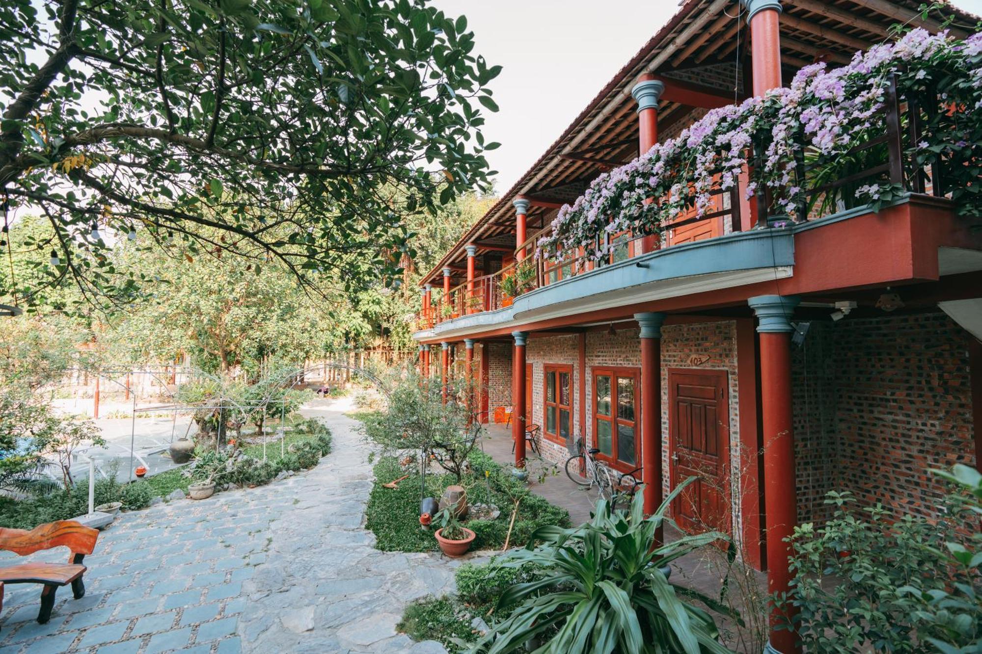 Tam Coc Lavender Homestay Ninh Binh Esterno foto